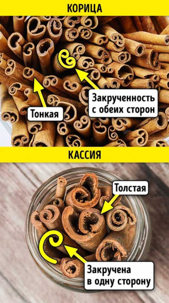 Как отличить корицу от кассии